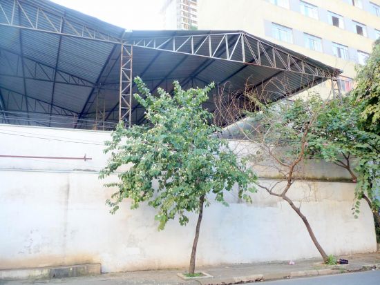 Terreno à venda na Rua RochaBela Vista - FACH3.jpg